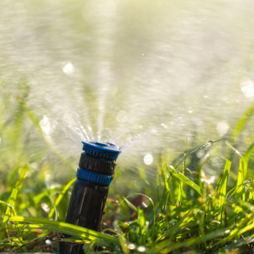 Sprinkler Systems